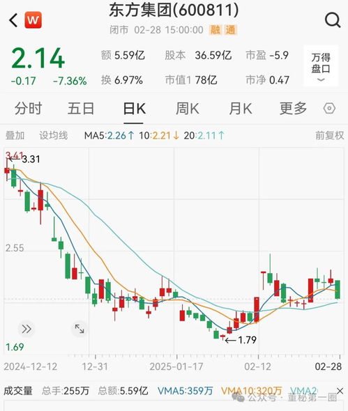 东方集团涉嫌重大财务造假