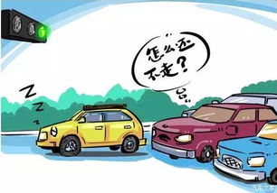 汽车违章比例是多少分