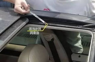 汽车门板胶条清洗多少钱(汽车门板胶条清洗费用详解)