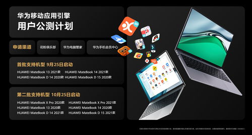 华为电脑怎么刷抖音(华为电脑刷抖音全攻略，轻松上手，尽享精彩短视频)