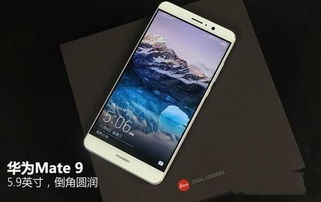 华为手机怎么看手机型