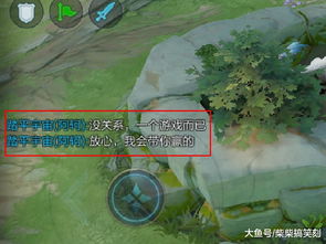 香草游戏攻略 VS 计算游戏攻略
