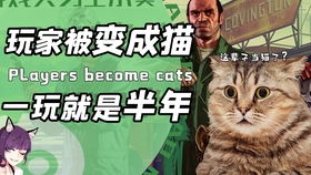 诡异游戏选择攻略 VS 猫咪在那里游戏日本攻略