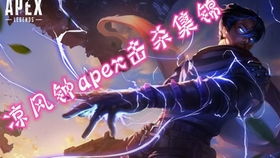 独木森林游戏攻略 VS apexcs游戏攻略